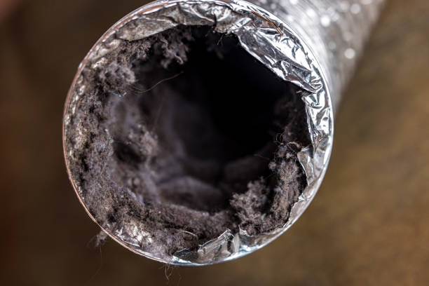 Best Emergency Air Duct Cleaning Services in Norris, TN